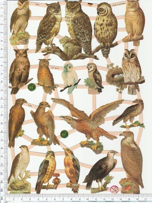 ~ EF 7333, petolinnut-arkki ~