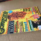 GOREZONE MAGAZINE 24/1992+ julisteet HYVÄ - pikkukuva 1