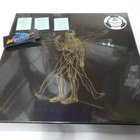 SEPTIC FLESH - MODERN PRIMITIVE UUSI 2LP+CD BOX SET - pikkukuva 1