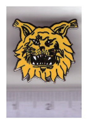ILVES Pinssi