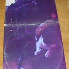 Ian Matthews - If you saw thro' my eyes - LP - pikkukuva 2