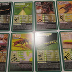 Top Trumps: Bugs (Ötökät) - pelattavat keräilykortit - pikkukuva 5