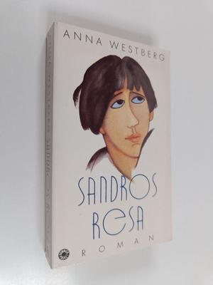 Sandros resa : roman