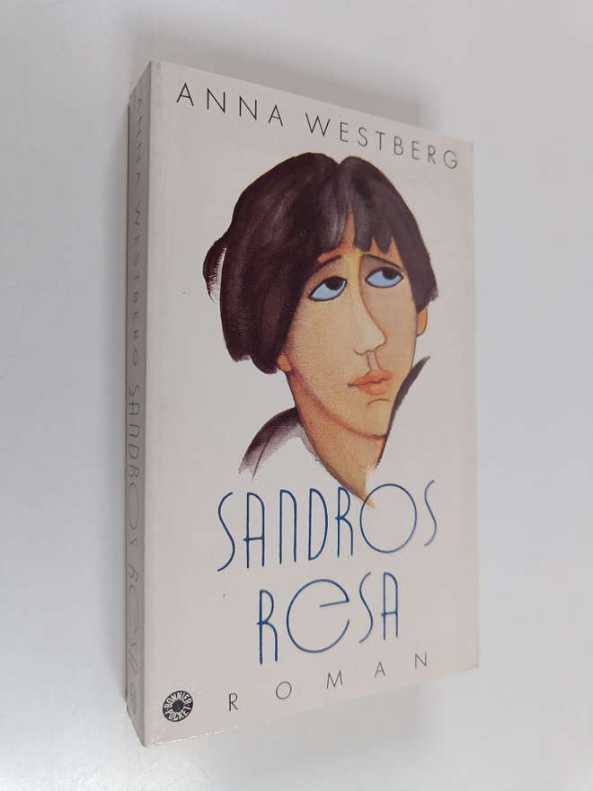 Sandros resa : roman