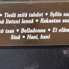 LEA LAVEN- 5 kasettia Mustasukkaisuutta,Vie, Käyn uudelleen - pikkukuva 3