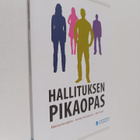 Marina ym. Furuhjelm : Hallituksen pikaopas - pikkukuva 1