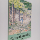 Bolette Bonfils : Sateenkaariniitty - pikkukuva 1