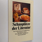 Dietmar Grieser : Schauplätze der Literatur : vom Zauberb... - pikkukuva 1