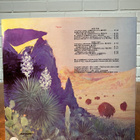 ZZ Top - Tejas LP - pikkukuva 2