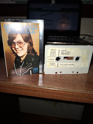 Mikko Alatalo - Rokkilaulaja