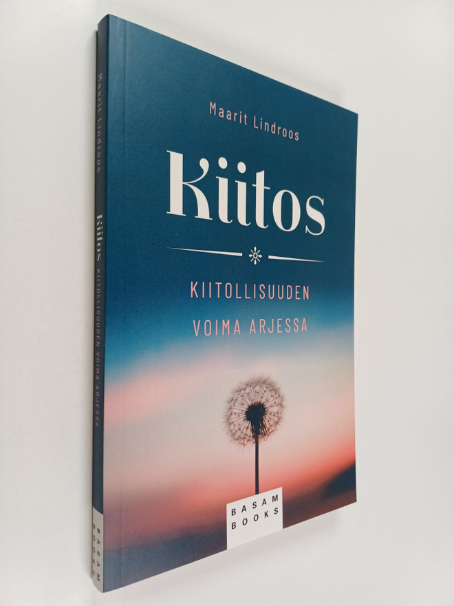 Maarit Lindroos : Kiitos : kiitollisuuden voima arjessa