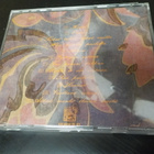 KAUKO RÖYHKÄ - TYTTÖJEN YSTÄVÄ CD NIMMARILLA - pikkukuva 2