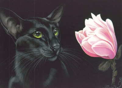 Irina Garmashova: Musta kissa, magnolia