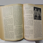 Otava - Kuvallinen kuukauslehti vuosikerta 1916 (sid.) - pikkukuva 4