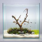 Uniikki akvaariojuurakko 56 cm | P292618 - pikkukuva 4