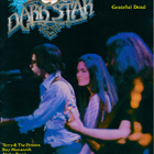 DARK STAR 19 (1979) GRATEFUL DEAD Ray Manzarek CARLENE CARTE - pikkukuva 1