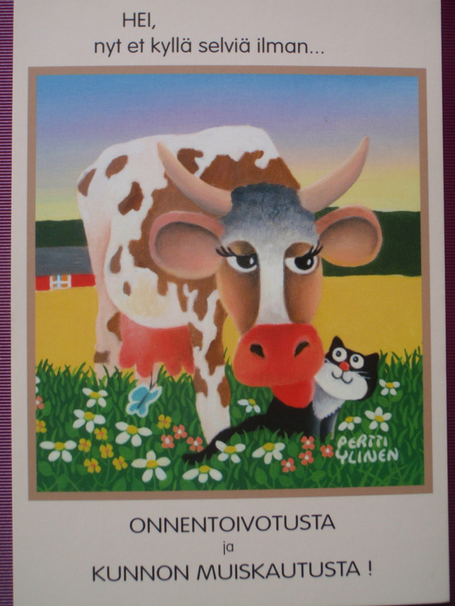 Pertti Ylinen lehmä nuolee kissaa kukkakedolla