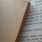 Edmund Cooper - Seed Of Light (paperback) - pikkukuva 4