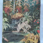 Kotiliesi N:o 19 1950 lokakuu - pikkukuva 1