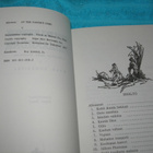 Pellucidar 1 - Maan uumenissa - Edgar Rice Burroughs (1.p.) - pikkukuva 3