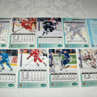1994 NHL Jääkiekkokortit 9 kpl Parkhurst - pikkukuva 4
