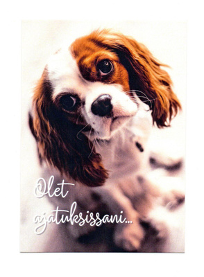 Koira °°OLET AJATUKSISSANI...°° -KORTTI /Korttituote