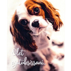 Koira °°OLET AJATUKSISSANI...°° -KORTTI /Korttituote - pikkukuva 1