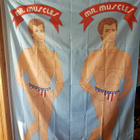 MR. MUSCLES Kangas 200x150 cm. - pikkukuva 1