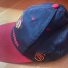 CHICAGO BLACKHAWKS NHL LIPPIS 1995 - pikkukuva 2