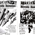 HAVANA BANANAS punk-lehti nro:t 5-8 - pikkukuva 1