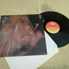 ANDREAS VOLLENWEIDER - ... Behind The Gardens LP - pikkukuva 2