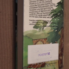 Diana Wynne Jones : Noidan veli ( 1.p. 1980 k.po) - pikkukuva 2