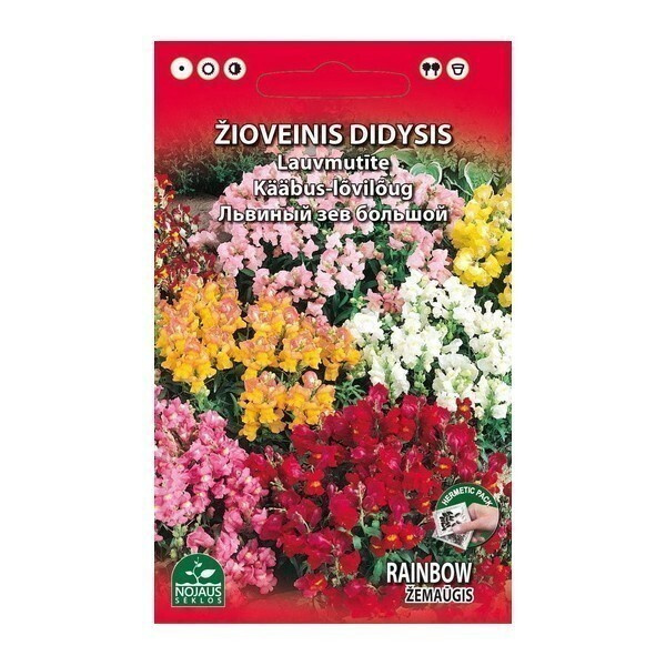 Isoleijonankita "Rainbow" Mix HUOM PÄiVÄYS! Ale -30%#