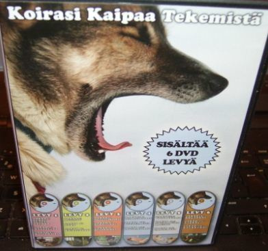 Koirasi Kaipaa Tekemistä