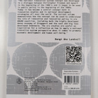 Apiwat Ratanawaraha ym. : Innovation Systems in Southeast... - pikkukuva 2
