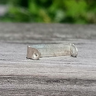 Mantsinsaari MINI solki. Talvisodan muistomitalin solki. - pikkukuva 3
