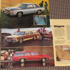 1981 Ford LTD esite - KUIN UUSI - 16 sivua - pikkukuva 2