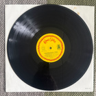 SHA NA NA: The Night Is Still Young (LP) 1972 - pikkukuva 4