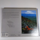 Jane English : Mount Shasta - Where Heaven and Earth Meet - pikkukuva 2