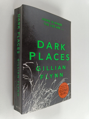 Gillian Flynn : Dark places