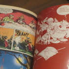 Goscinny & Uderzo: Asterix ja Caesarin laakeriseppele - pikkukuva 5