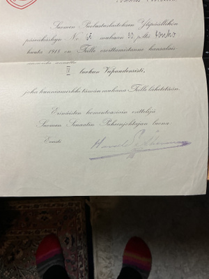 MYÖNTÖKIRJA IV luokan Vapaudenristi v 1919