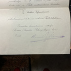 MYÖNTÖKIRJA IV luokan Vapaudenristi v 1919 - pikkukuva 1