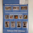 Ase-lehti 1/2008 - pikkukuva 2
