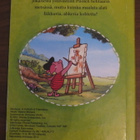 Nalle Puh - Ystävyyden muotokuva + Nokkela Ruu - pikkukuva 2