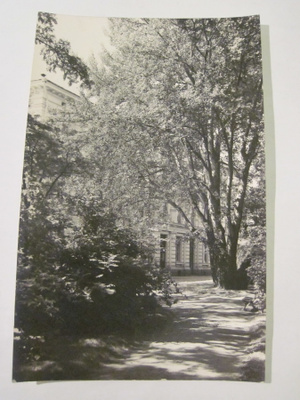 VANHA Postikortin Alkup.Mallikappale Viipuri 1920-l
