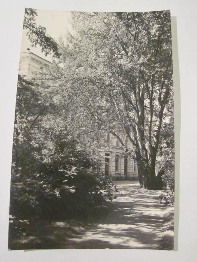 VANHA Postikortin Alkup.Mallikappale Viipuri 1920-l