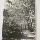 VANHA Postikortin Alkup.Mallikappale Viipuri 1920-l - pikkukuva 1