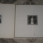 2LP  Bessie Smith – The World's Greatest Blues Singer - pikkukuva 3