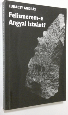 Lukacsy Andras : Felismerem-e Angyal Istvant? : Levelek f...